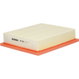 Filtron Luftfilter AP 063