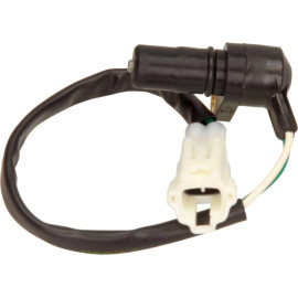 Kurbelwellensensor 102773
