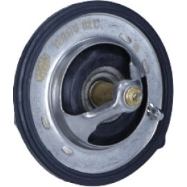Thermostat, Kühlmittel 352317101760