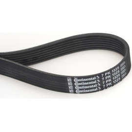 CONTINENTAL CTAM Keilrippenriemen 7PK1325