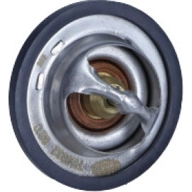 Thermostat, Kühlmittel 352317100320