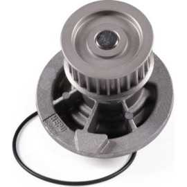 HEPU Wasserpumpe P316