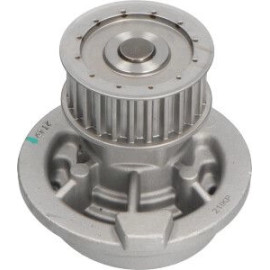 PA 572 Wasserpumpe DW-1009