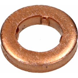 Dichtring F 00V C17 505