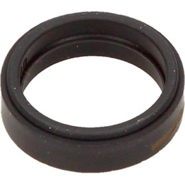 Dichtring 2430223003