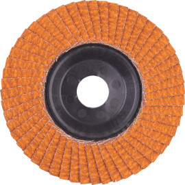 Fächerschleifscheibe 125mm 4932472232