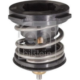 Thermostat, Kühlmittel 104981