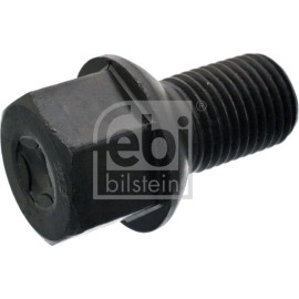 Radbolzen 46613