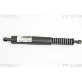 Gasfeder, Koffer-/Laderaum 871029264
