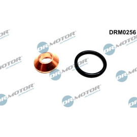 Einspritzdüse Dichtungssatz DRM0256