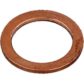41-70089-00 Reinz Dichtring 14x20x1,5mm Kupfer 41-70089-00 41-70089-00 Reinz Dichtring 14x20x1,5mm Kupfer 41-70089-00