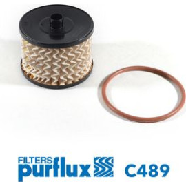PURFLUX Kraftstofffilter C489