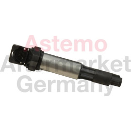 Zündspule 133825