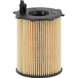 Filtron Ölfilter OE 667/1 Filtron Ölfilter OE 667/1
