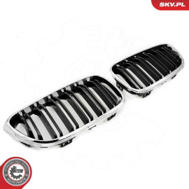 ESEN SKV Kühlergitter 66SKV033