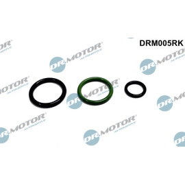 Reparatursatz, Pumpedüse Einheit DRM005RK