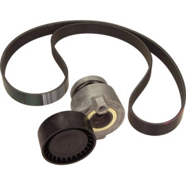 Satz Multi-Roved Gürtel. Dacia/Nissan/Renault 117203694R