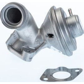 WAHLER AGR-Ventil 710973R