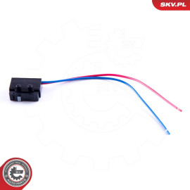 ESEN SKV Schalter, Türschloß 16SKV026