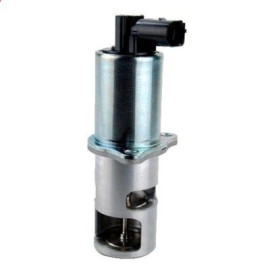 Magneti Marelli AGR-Ventil EV016