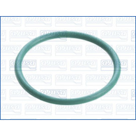 DICHTRING, DÜSENHALTER AJU16092500