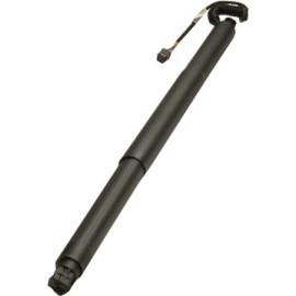 MAXGEAR Gasfeder, Einlegeboden (Koffer-/Laderaum) 12-2559 241031