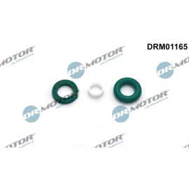 Einspritzdüse Dichtungssatz DRM01165