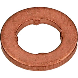 Bosch Dichtring F 00V P01 004