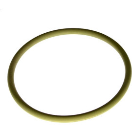 O-Ring F 00R 0P0 353