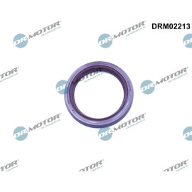 DRM02213 WELLENDICHTRING, NOCKENWELLE