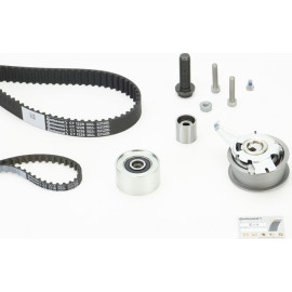 Steuerung Satz VW 2.0Tdi (Mit Pumpenriemen) CT1229K2 PRO