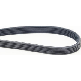 CONTINENTAL CTAM Keilrippenriemen 6DPK1825