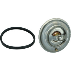 Thermostat, Kühlmittel 09675