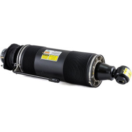 Arnott Luftfederbein HA re SK-2419 Arnott Luftfederbein HA re SK-2419