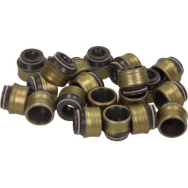 Dichtungssatz Ventilschaft(2x/Mot) 12-31306-03