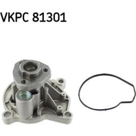 SKF Wasserpumpe VKPC 81301