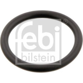 Dichtring, Kühlmittelrohrleitu 29752