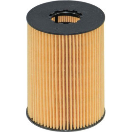 Filtron Ölfilter OE 669/1 Filtron Ölfilter OE 669/1