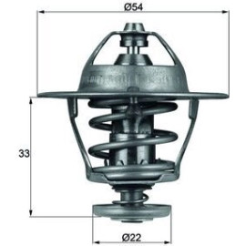 Thermostateinsatz mit Dichtung TX 53 85D