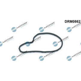 Dichtung, Unterdruckpumpe DRM0862