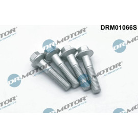 DR.MOTOR Schraube, Einspritzdüsenhalter DRM01066S