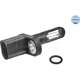 Sensor, Ansauglufttemperatur 1009050024