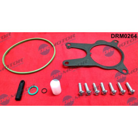 Reparatursatz, Unterdruckpumpe (Bremsanlage) DRM0264
