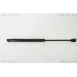 Gasfeder, Motorhaube 871029123
