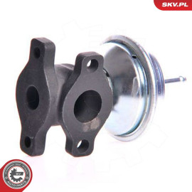SKV GERMANY AGR-Ventil 14SKV005