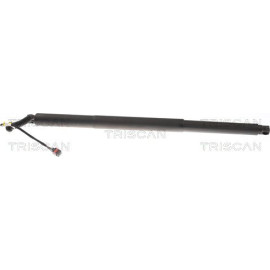 Gasfeder, Koffer-/Laderaum 871029308