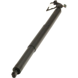 MAXGEAR Gasfeder, Einlegeboden (Koffer-/Laderaum) 12-2556 239936
