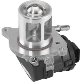 Agr-Ventil 710095D