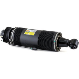 Arnott Luftfederbein HA re SK-2414 Arnott Luftfederbein HA re SK-2414