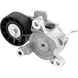 SNR Spannrolle, Keilrippenriemen GA359.20